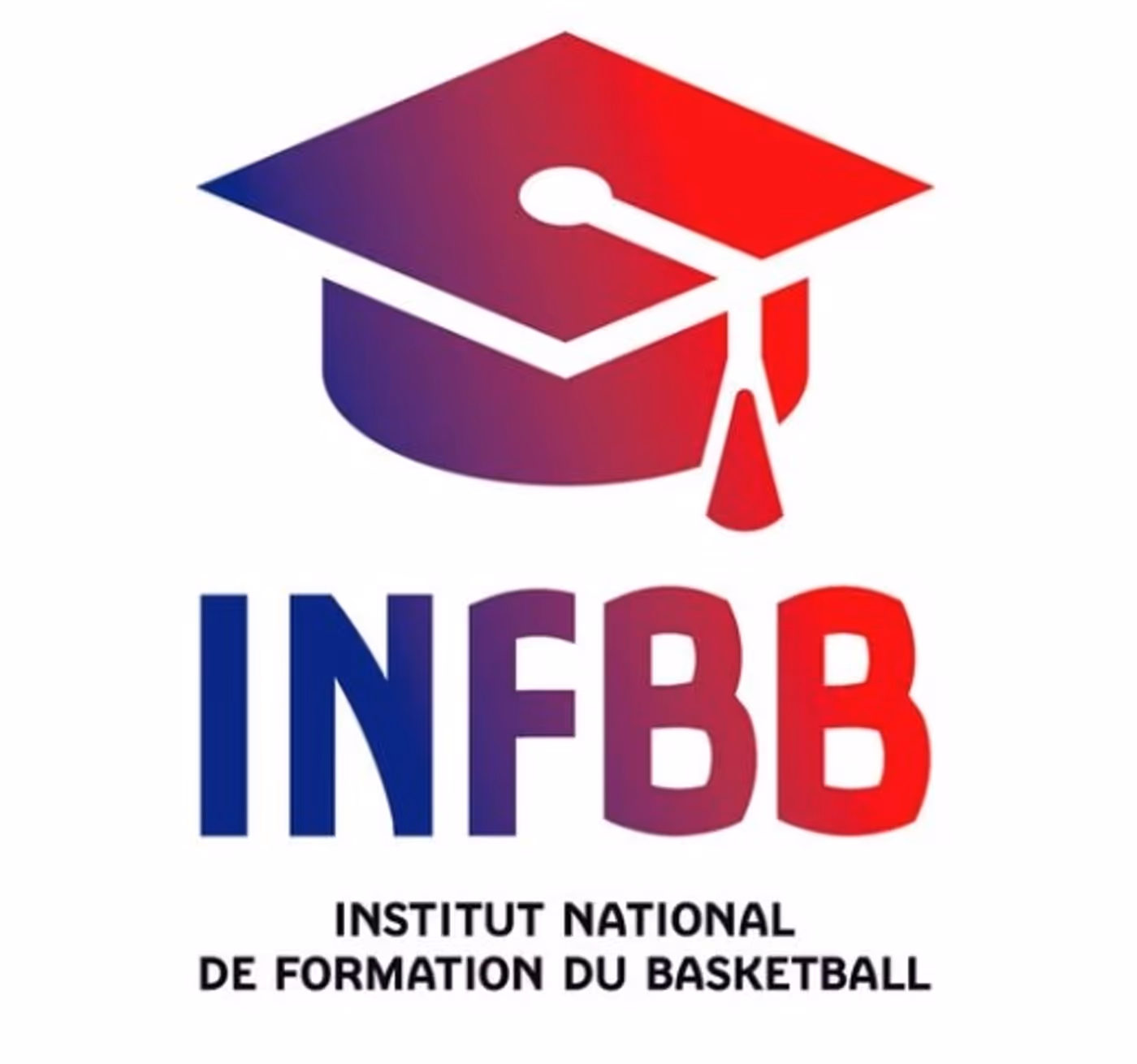 Institut National de Formation