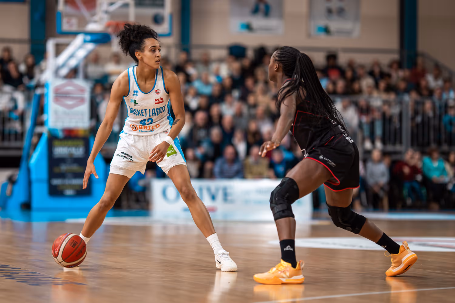Basket Landes peut s'échapper