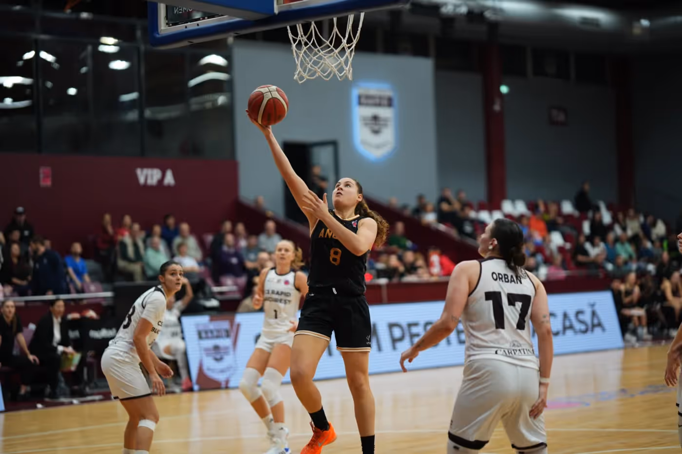 Idp53hmhzc52z8nefpza